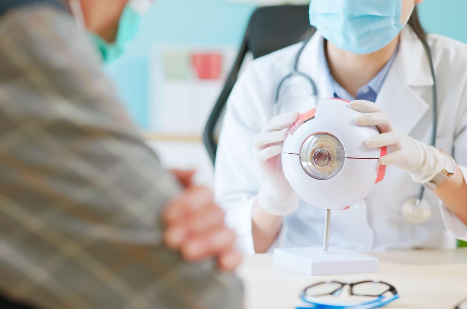 An eye doctor explains glaucoma to their patient using a model of an eye.